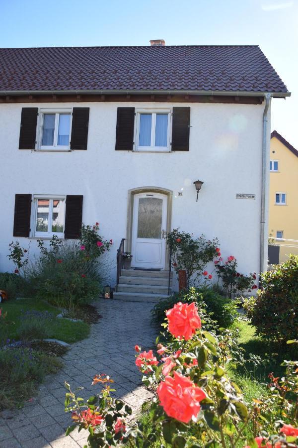Pusteblume Leutkirch im Allgau