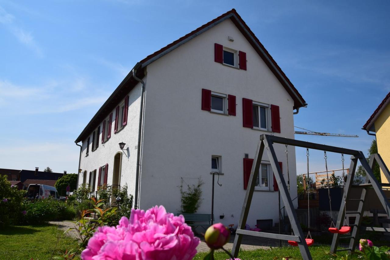 Pusteblume Leutkirch im Allgau